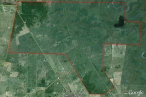 En el Departamento de 9 de Julio, Provincia de Santa Fe. Cercano a la Localidad de Ceres.